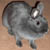 Grisette, une petite lapine