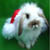lapin de noel