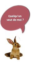 Grisette parle