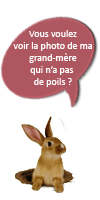 Norbert parle
