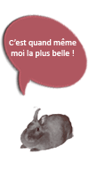 Grisette parle
