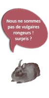 Grisette parle